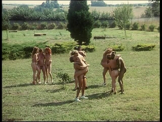 Rocco Siffredi and Friends: Great orgy with Rocco Siffredi..