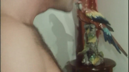 XTime Vod: Vintage foursome cock sucking hairy pussy fucking with Moana Pozzi