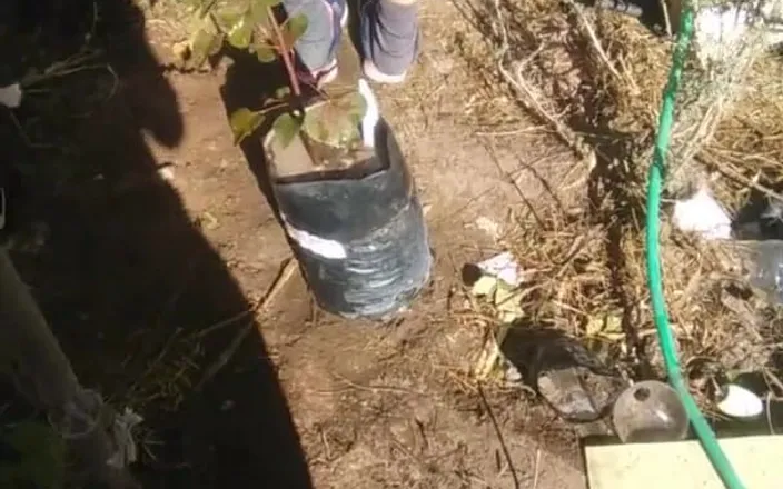 Fitcure1: Watching Her Watering