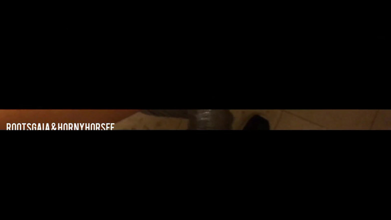 RootsGaia: मेरा पुराना दोस्त