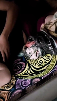 Menggoda ibu tiri yang lagi sange berat