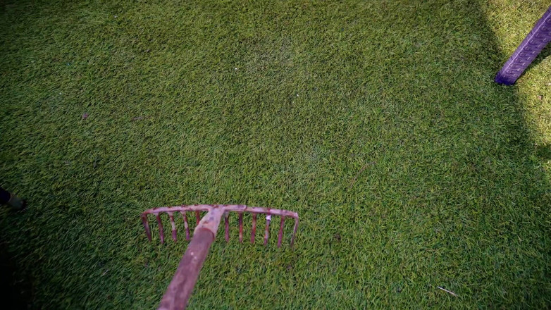 JessieHH: Jessie Hh Video