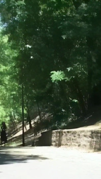 Friends Walk Together