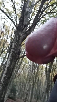 Orinar en el bosque