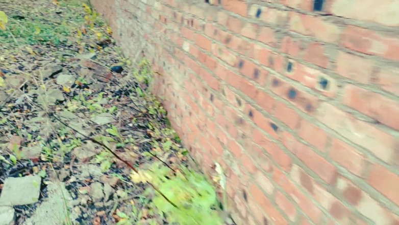 S-Wife Katy: Ella es la única chica en el futuro post-apocalíptico, ¡todos la están...
