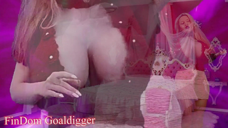 FinDom Goaldigger: The real whore transformation