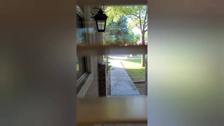 Danielle Renae: Traindo com minha boca para um passeio de carro