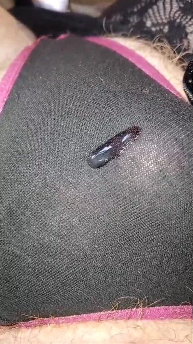 Precum in Panties (Futa fuckery)