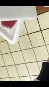 Piss in Urinal
