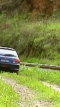 Una giovane coppia arrapata fa sesso in una macchina nel mezzo della natura