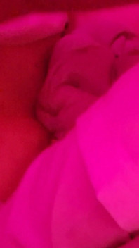 Toffy124
