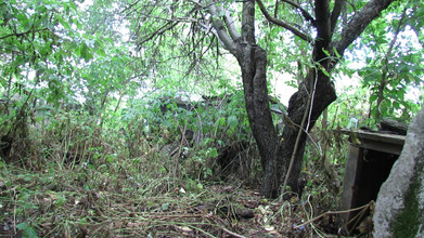 SexyAnka: Pissar i naturen i ett glas från en dam med...