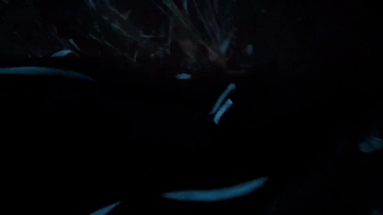 Wanker forever: Venkovní honění. Stříkání do přírody