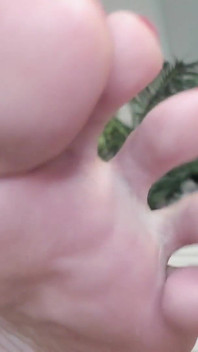 Under Tasty Feet
