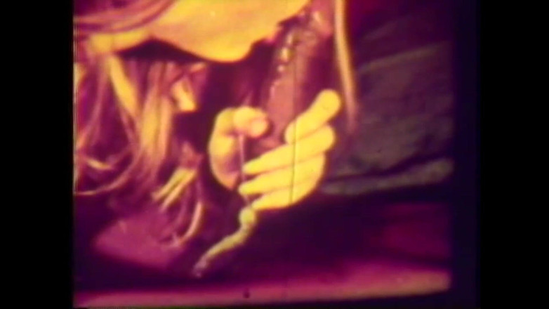 The Unforgettable: Die Schweineprostituierte