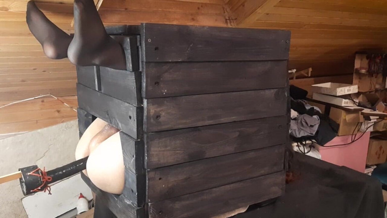 DiiVampy: Trapped in a Crate - Machine Anal Fuck