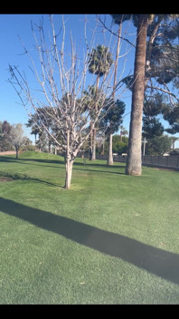 Got on the Green From About 160 Using My 5 Iron Though I Rather Have 8 Iron in My Mouth
