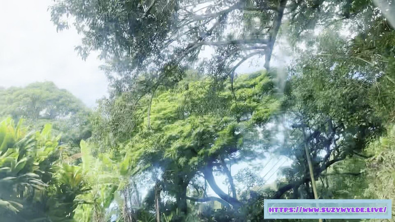 Suzy Wylde: Perjalanan Darat Sfw ke Hana untuk Suzy Wylde di Air...