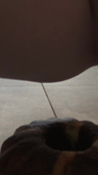 Nasty Pissing Bitch