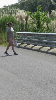 Patricia on the Bridge Over the Road
