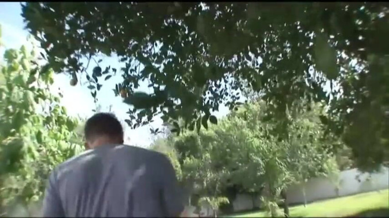 Rocco Siffredi porn: Chuda nastolatka zostaje ostro wyruchana