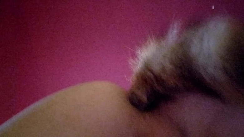 Joslin: Joslin skakar anal svansplugg