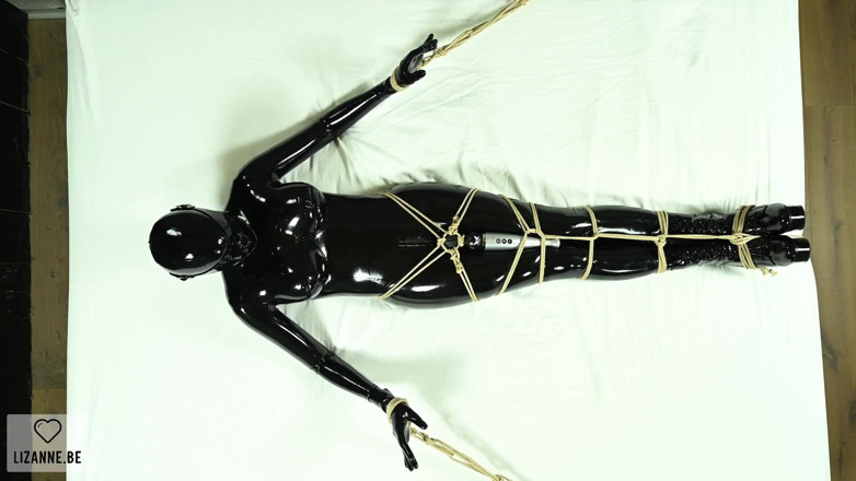 Lizanne: Bound and Vibed