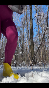 I Like to Paint in the Woods
