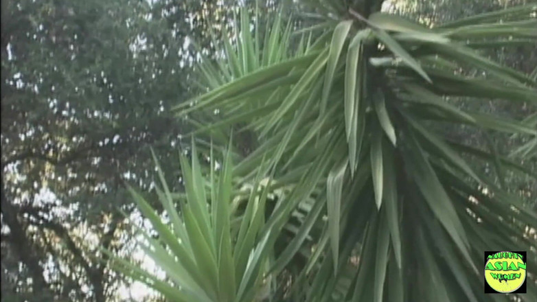 Naughty Asian Women: Międzyrasowa para rucha się pod prysznicem na świeżym powietrzu, aż spuści...