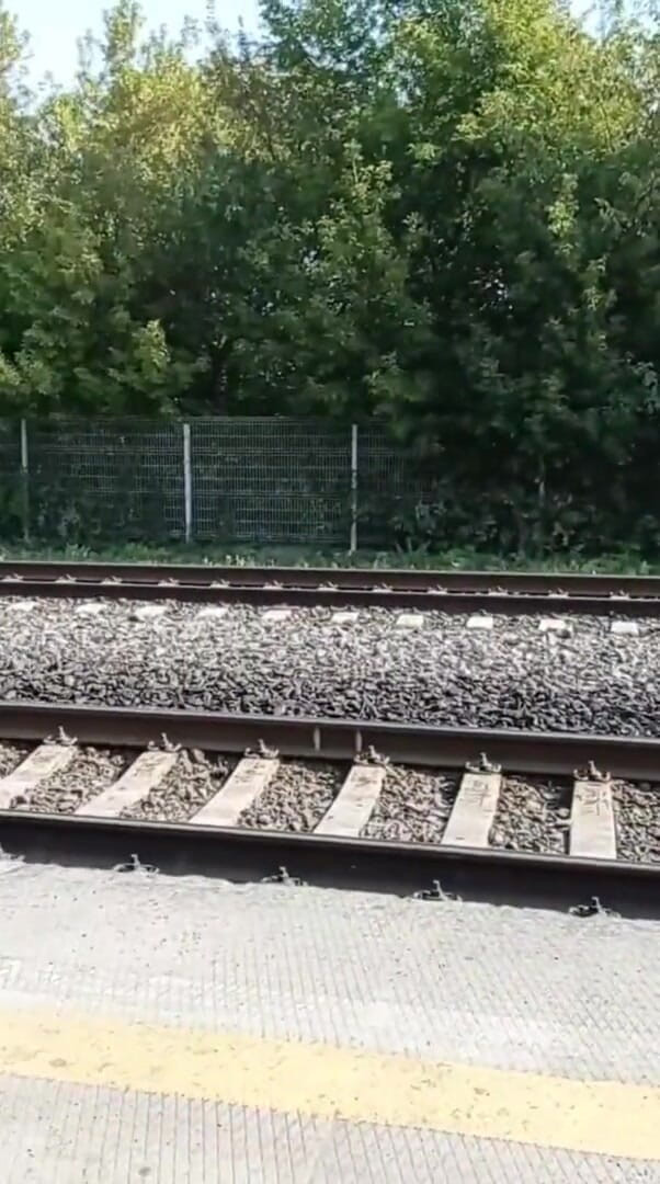 Dick Boys Studio: Masturbándose en la estación de tren