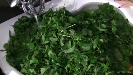 Queen Snake: Melancap di spa nettle