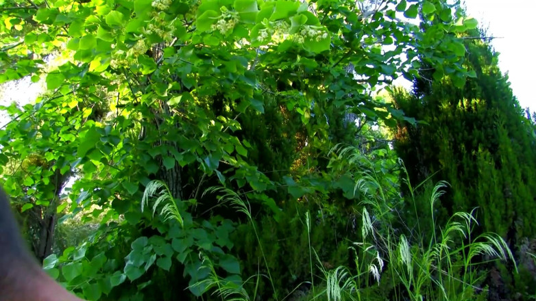 Get Your Fix: Outdoor secret secluded threesome meet up
