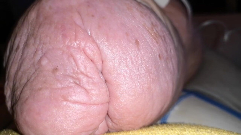 Monster_Meat_: Cockzilla se vrací po přidání 2litr glukózy