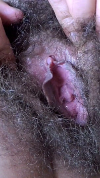 Mojar el arbusto