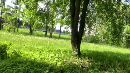 Mary Di: Hot Stepmom Tits flashing and masturbate in city park