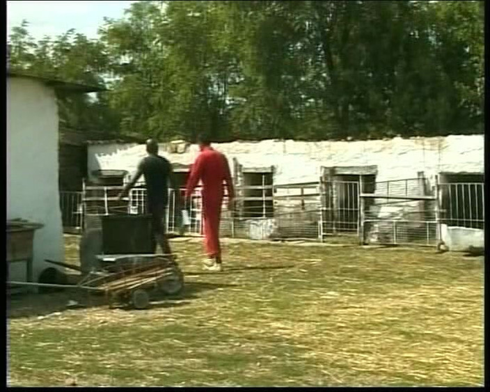 German Amateur Videos: 농장에서 따먹히는 독일의 빨간 머리 십대