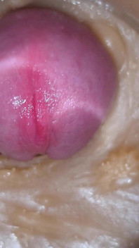 Precum in My Pussy Camera in Vagina 4K