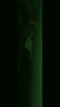Vision nocturne : sodomie profonde avec un gode bwc