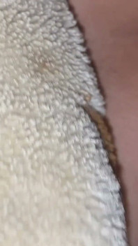 Gerçek kimya amatör ev yapımı sert video, özel masaj terapisti.