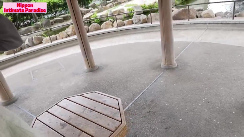 The Sexual Issues: Asian Angel 25851