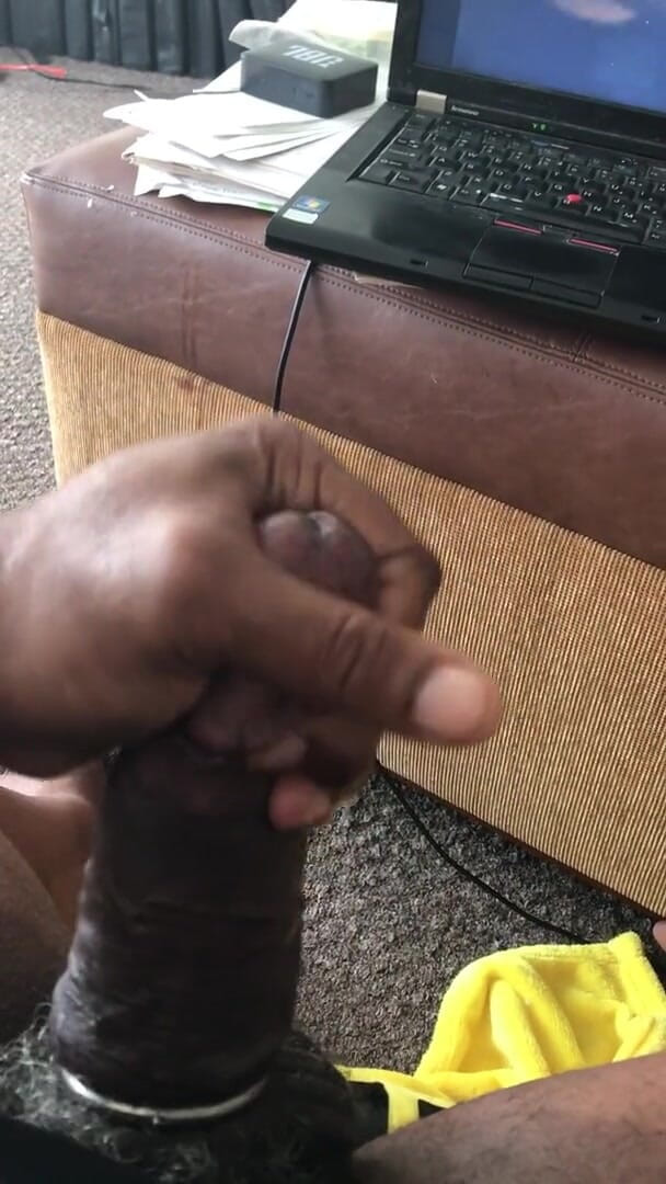 Harrypalms68: 撫でるのが好きです