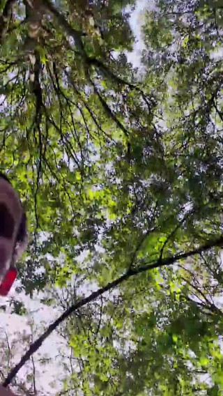 Slutboyben: Slutboyben Cam4 мега-горячее развлечение сексуальной свинья эксгибиционистки