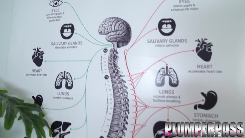 Plumper pass: Masivní kozatá macecha je masírována a ošukána velkým bílým ptákem