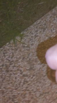 Nice Handjob in the Garden and Lots of Cum