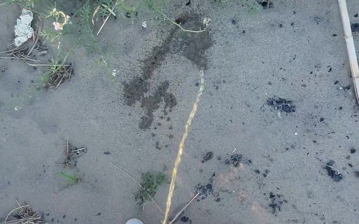Dirty Dog: समुद्र तट पर पेशाब करना, हर कोई देखा