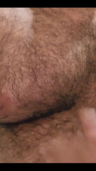 ダディロボヴァンックス