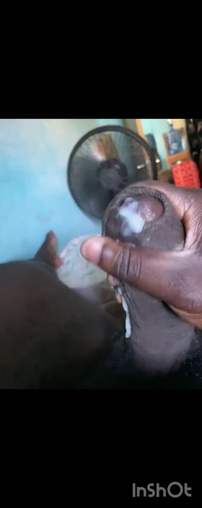 ThickJamaicaDick: Kompilace