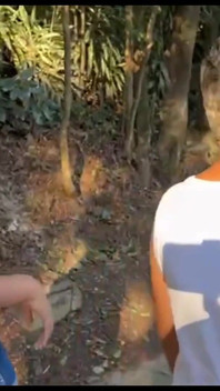 I Went Into the Bush with the Hot Boy It Was Delicious This Walk in the Bush