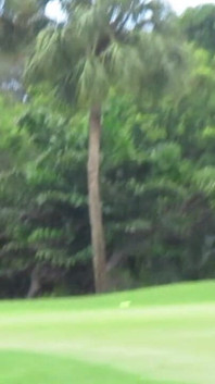 This Is Non-sexual, but It Is What Bailey Loves to Do While in Fl. One of Her Biggest Interests!