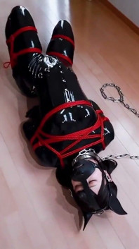 On the Second Day of the Puppy-raising Holiday, We Walked Outdoors with Rubber Restraints